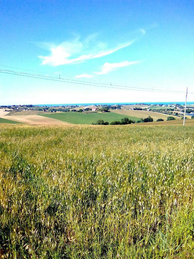 A Casa Di Sara Bed and Breakfast Senigallia Esterno foto