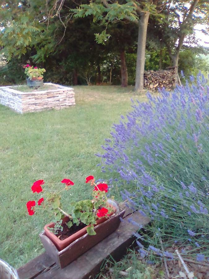 A Casa Di Sara Bed and Breakfast Senigallia Esterno foto